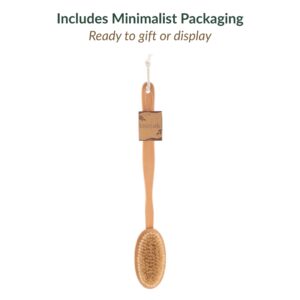 Natural bristle body brush displayed vertically with minimalist kraft paper packaging tag