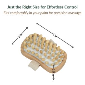 Product sizing diagram showing brush dimensions of 3 by 5 by 1.5 inches