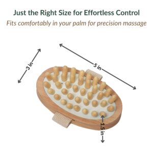 Product sizing diagram showing brush dimensions of 3 by 5 by 1.5 inches
