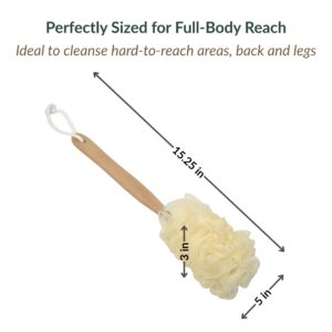 Body brush dimensions showing 15.25-inch length, 5-inch width, 3-inch height