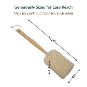 Back scrubber dimensions diagram showing 16.25-inch length, 4-inch width, 1.5-inch height