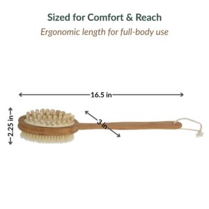 Body brush dimensions diagram showing 16.5-inch total length, 2.25-inch brush head height, and 3-inch brush head width