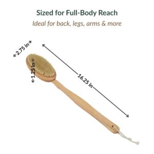 Body brush dimensions diagram showing 16.25-inch total length, 2.75-inch brush width, and 1.25-inch brush height