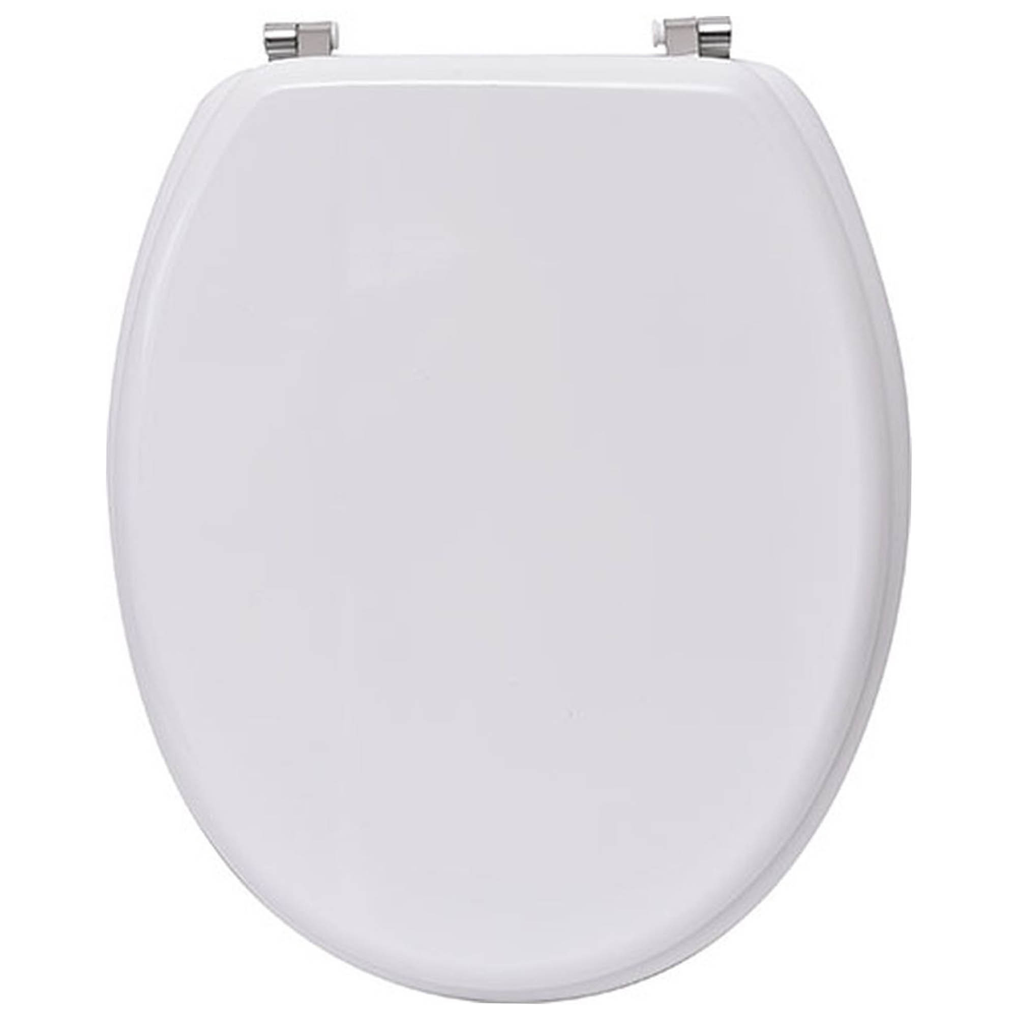 White elongated toilet seat with stainless steel hinges on white background
