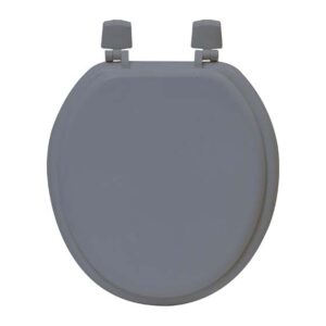 Gray round toilet seat top view on white background