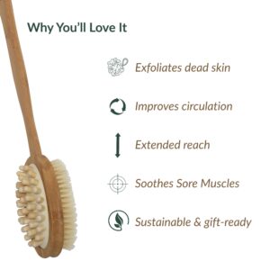 Dual-sided body brush with benefits list including exfoliates dead skin, improves circulation, extended reach, soothes sore muscles, and sustainable/gift-ready features
