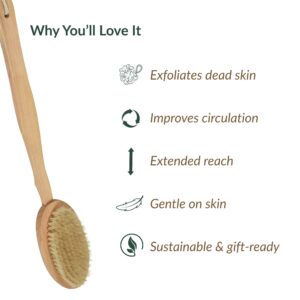 Natural bristle body brush with benefits list including exfoliates dead skin, improves circulation, extended reach, gentle on skin, and sustainable/gift-ready features