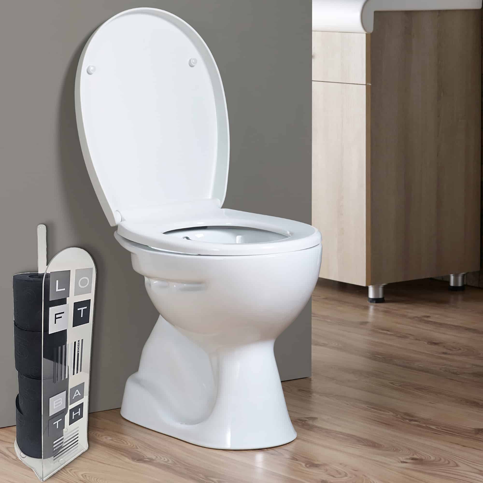 Elegant bathroom interior with white toilet and freestanding 'LOFT BATH' toilet paper holder alongside