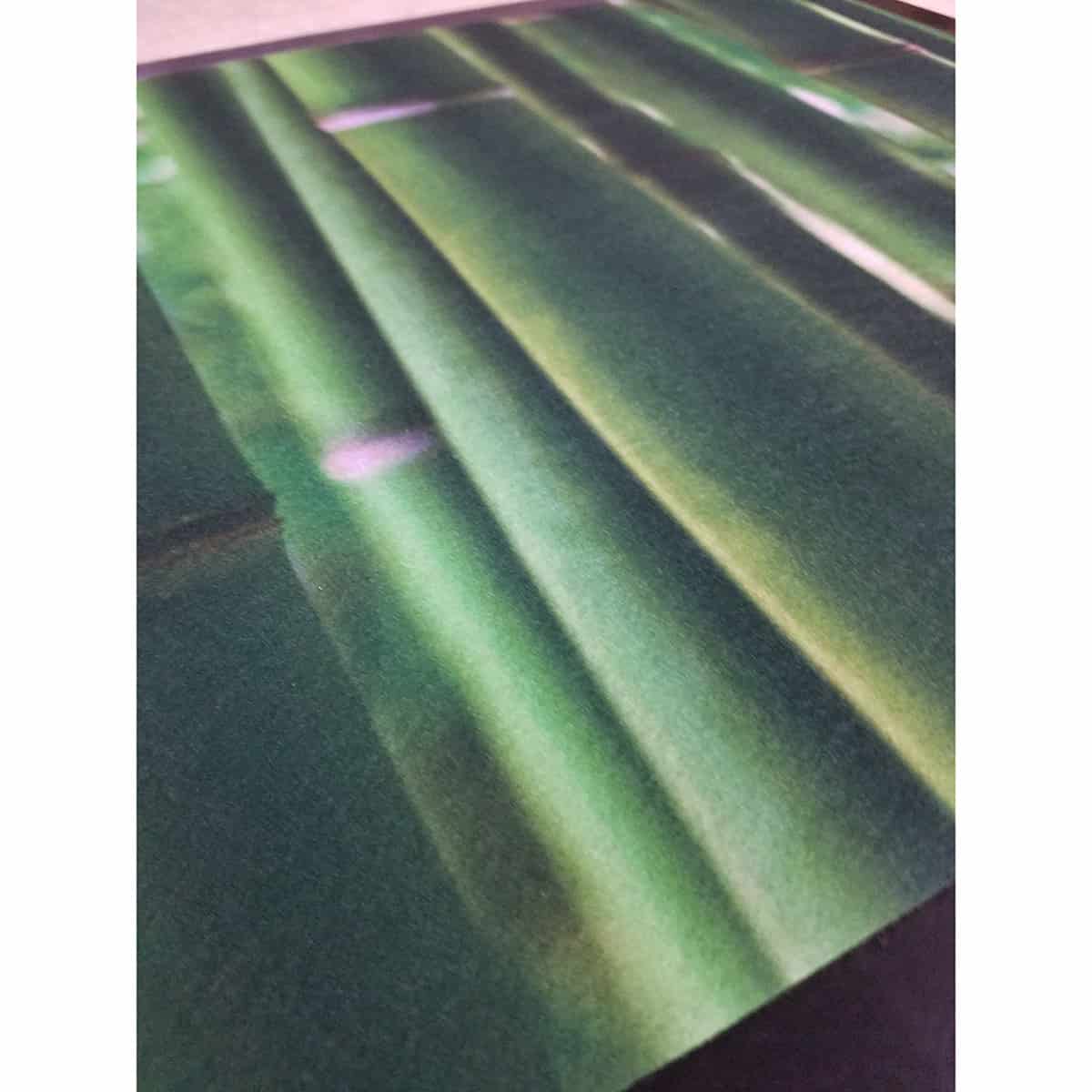 Indoor Printed Door Mat Bamboo Sticks PVC Polyester Rug 24x16