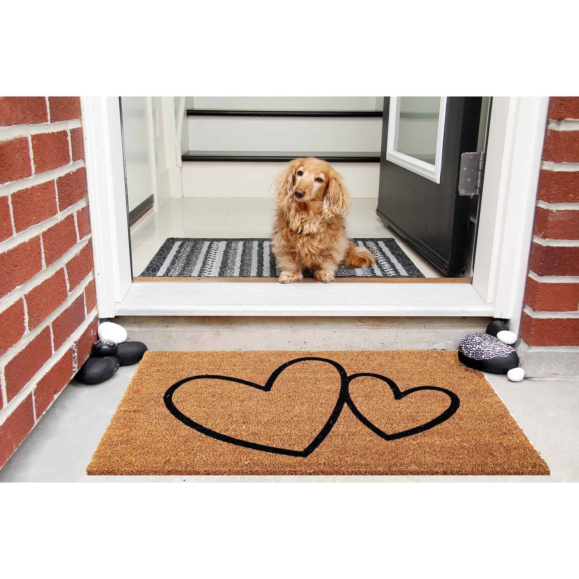 dog at entrance door with coco doormat outside on the floor