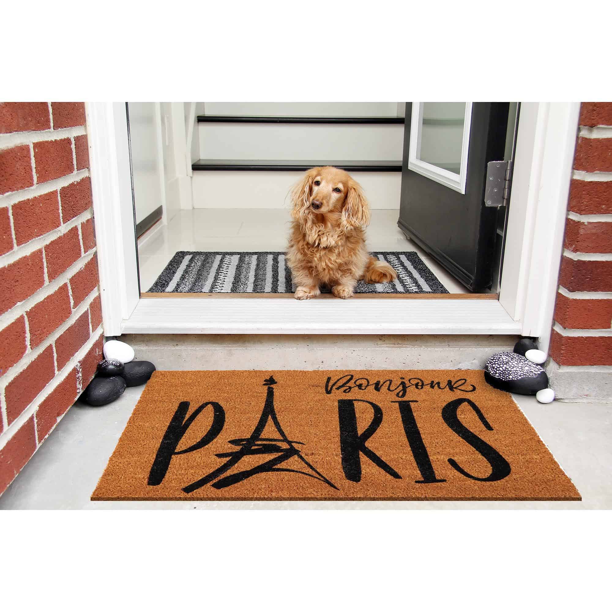 dog at entrance door with coco doormat outside on the floor