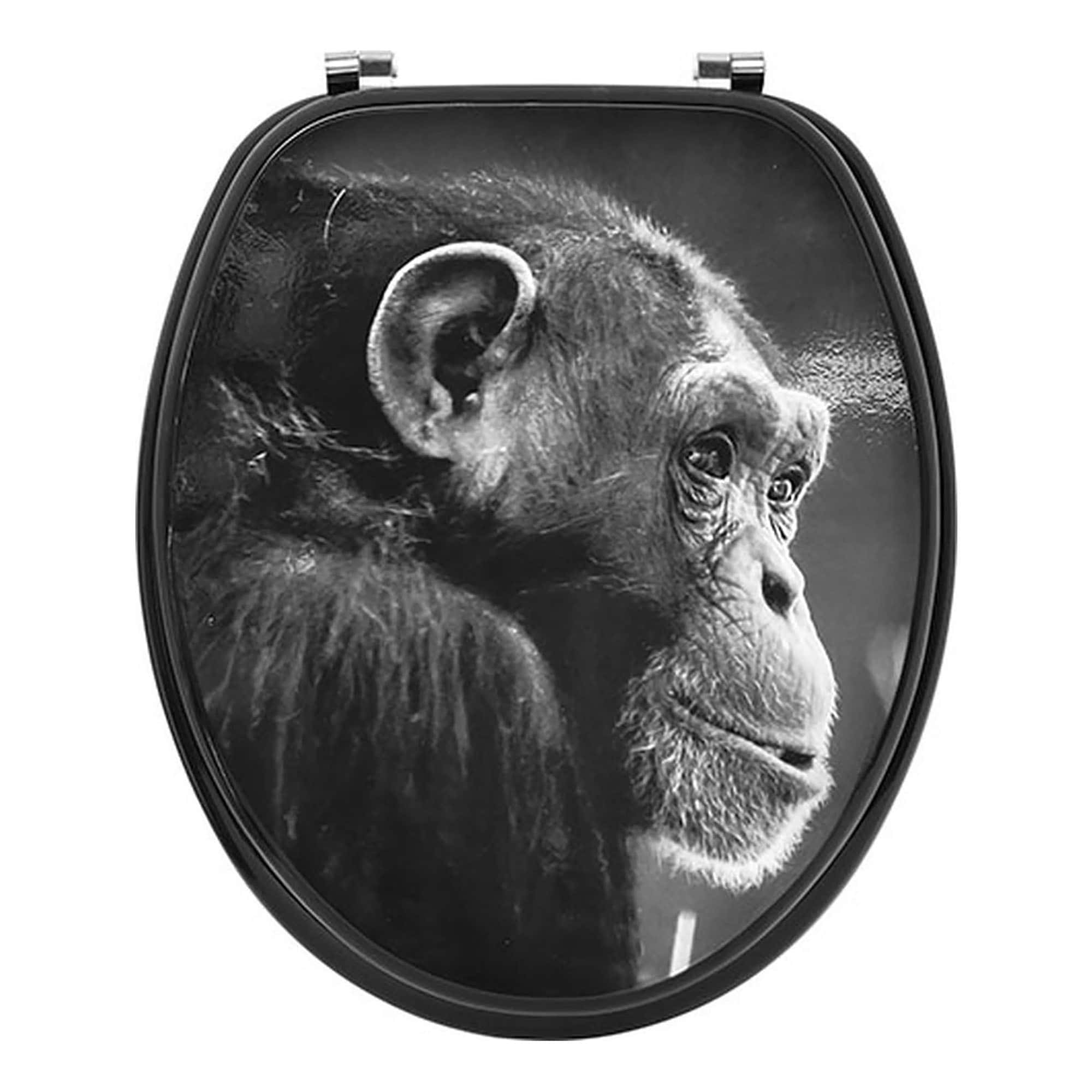 elongated toilet seat with primate design