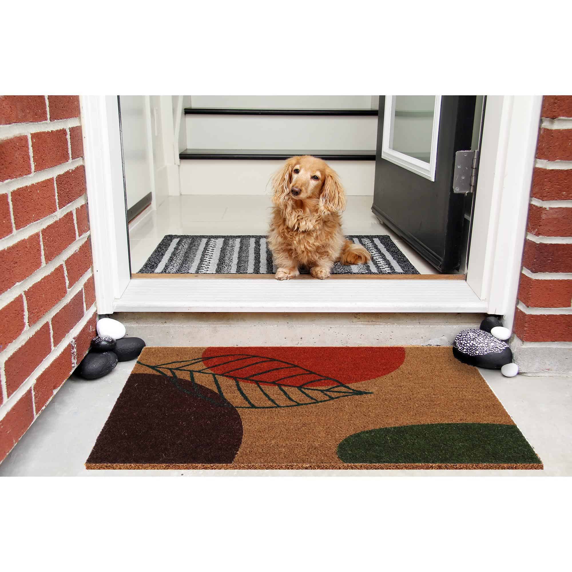 dog at entrance door with coco doormat outside on the floor