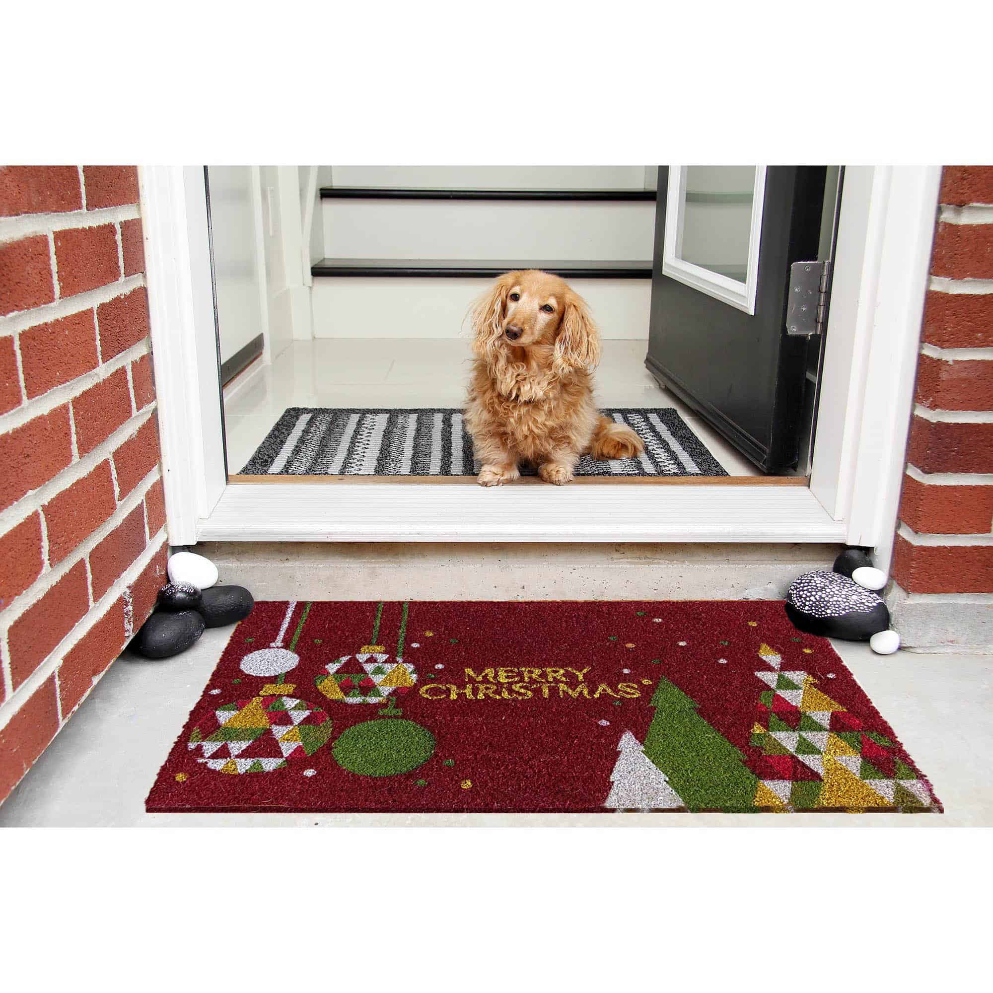 dog at entrance door with coco doormat outside on the floor