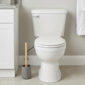 Bathroom scene showing gray toilet brush holder next to toilet and vanity