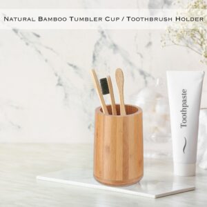 Toothbrush holder with toothbrushes and toothpaste on a countertop