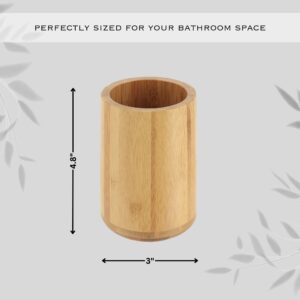 Dimensions of the toothbrush holder