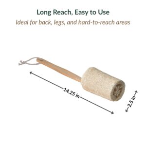 Loofah back scrubber dimensions diagram showing 14.25-inch total length and 2.5-inch sponge diameter