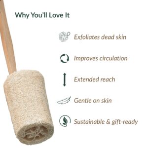 Natural loofah back scrubber with benefits list including exfoliates dead skin, improves circulation, extended reach, gentle on skin, and sustainable/gift-ready features
